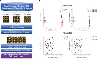 Gene expression meta-analysis reveals aging and cellular senescence signatures in scleroderma-associated interstitial lung disease